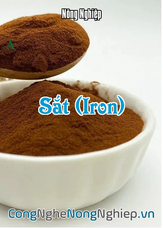 Ảnh bìa sách Sắt (Iron)