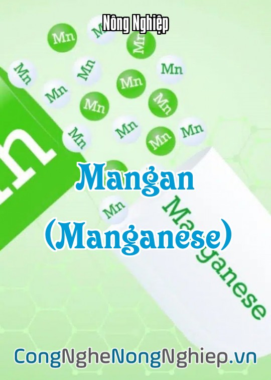 Ảnh bìa sách Mangan (Manganese)