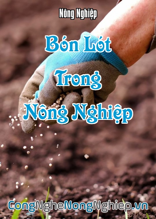 Ảnh bìa sách Bón Lót Trong Nông Nghiệp