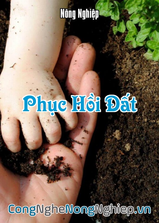 Ảnh bìa sách Phục Hồi Đất