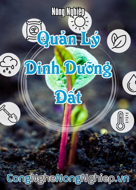 Ảnh bìa sách Quản Lý Dinh Dưỡng Đất