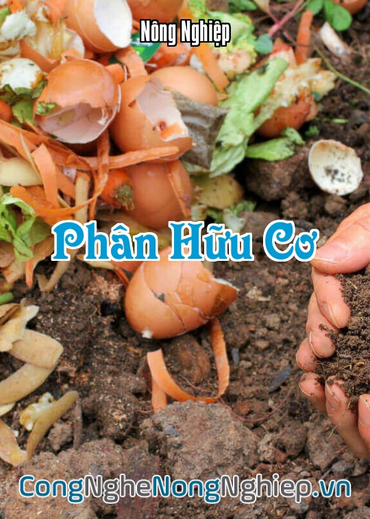 Ảnh bìa sách Phân Hữu Cơ