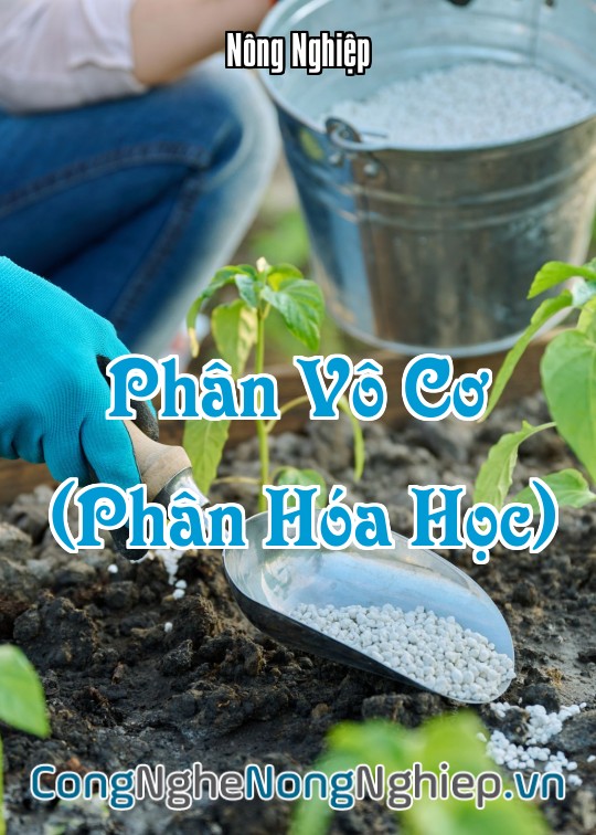 Ảnh bìa sách Phân Vô Cơ (Phân Hóa Học)