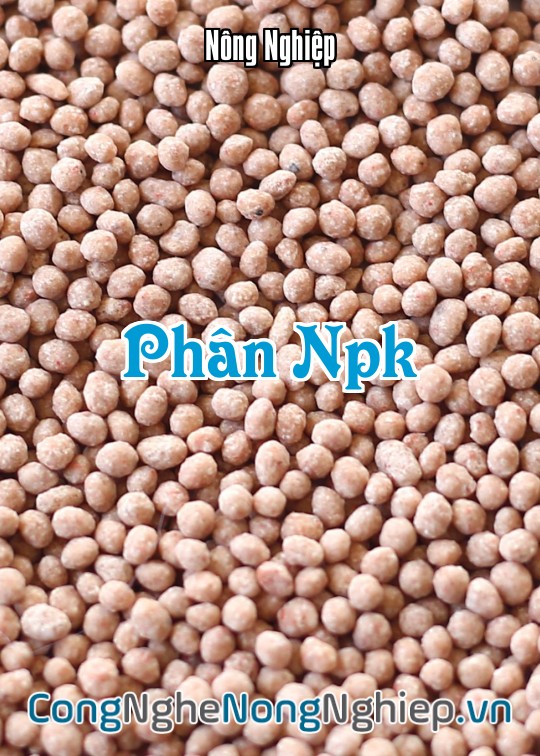 Ảnh bìa sách Phân Npk