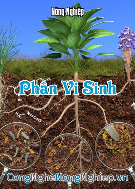 Ảnh bìa sách Phân Vi Sinh