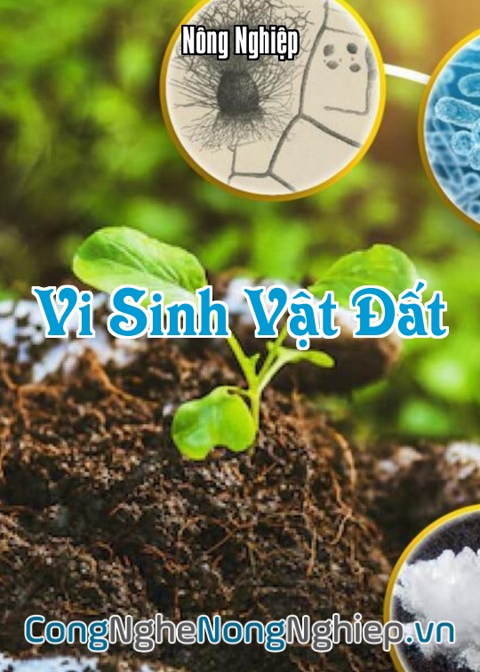 Ảnh bìa sách Vi Sinh Vật Đất