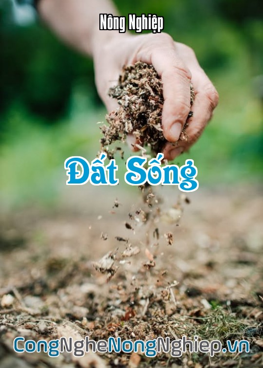Ảnh bìa sách Đất Sống
