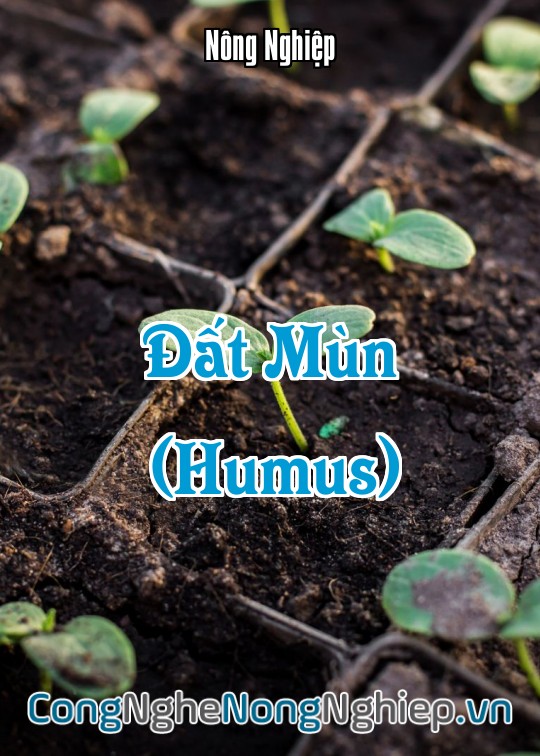 Ảnh bìa sách Đất Mùn (Humus)