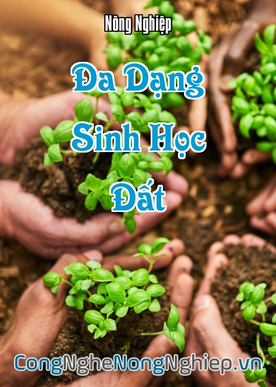 Ảnh bìa sách Đa Dạng Sinh Học Đất