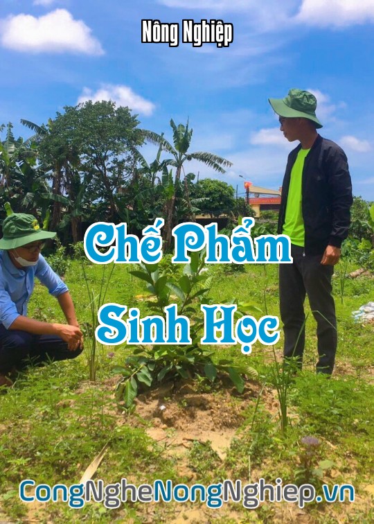 Ảnh bìa sách Chế Phẩm Sinh Học