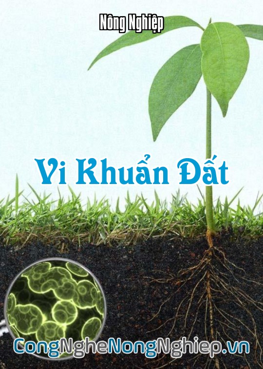 Ảnh bìa sách Vi Khuẩn Đất