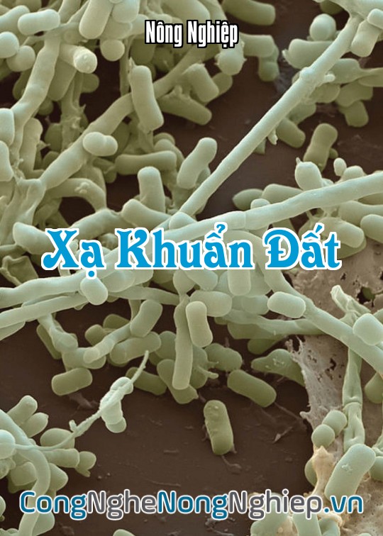 Ảnh bìa sách Xạ Khuẩn Đất