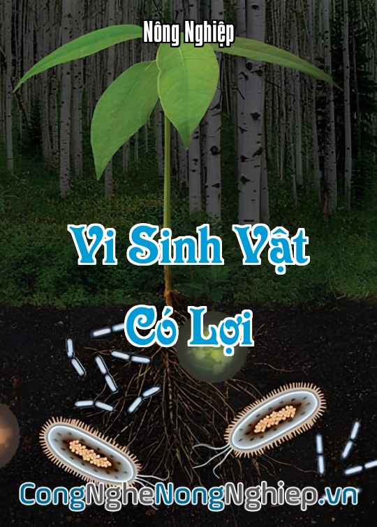 Ảnh bìa sách Vi Sinh Vật Có Lợi