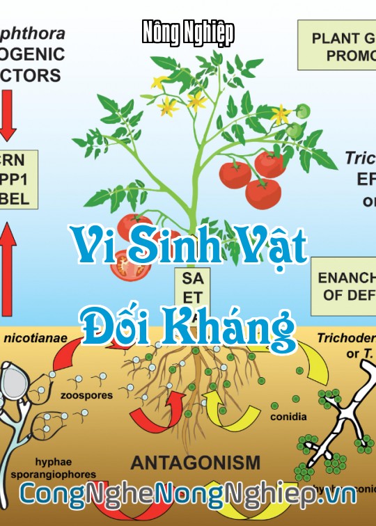 Ảnh bìa sách Vi Sinh Vật Đối Kháng