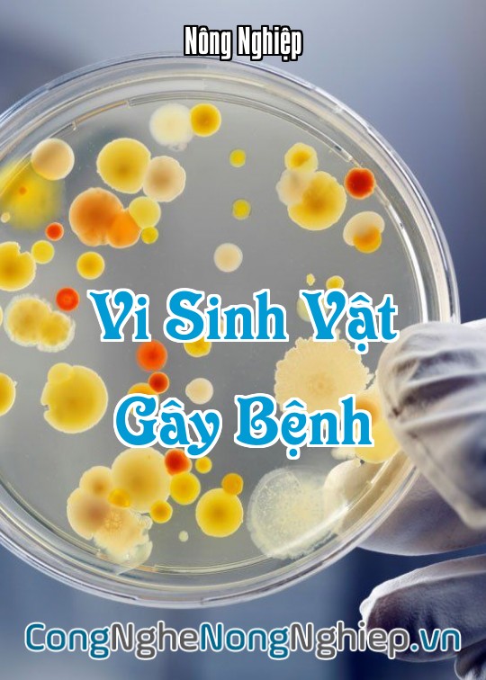 Ảnh bìa sách Vi Sinh Vật Gây Bệnh