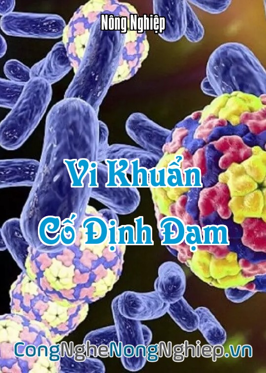 Ảnh bìa sách Vi Khuẩn Cố Định Đạm