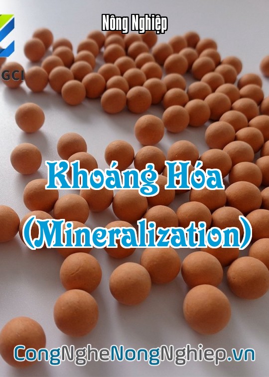 Ảnh bìa sách Khoáng Hóa (Mineralization)