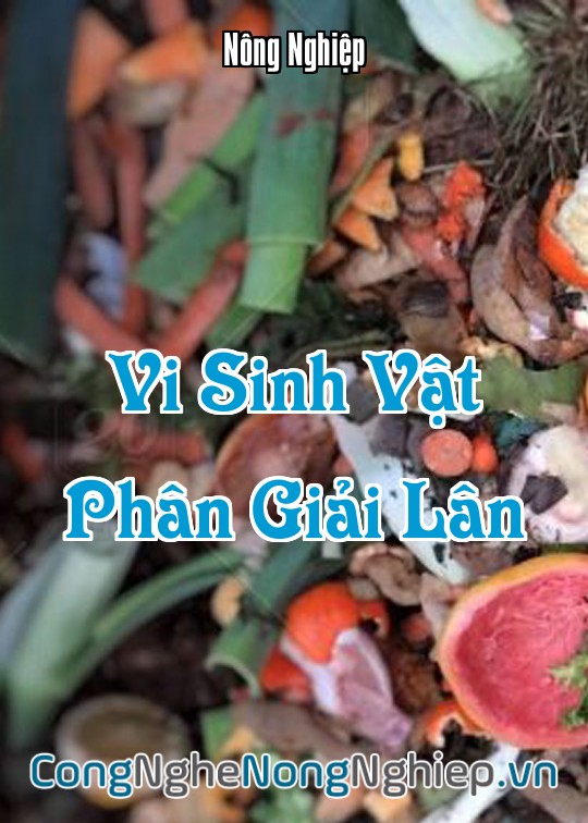 Ảnh bìa sách Vi Sinh Vật Phân Giải Lân
