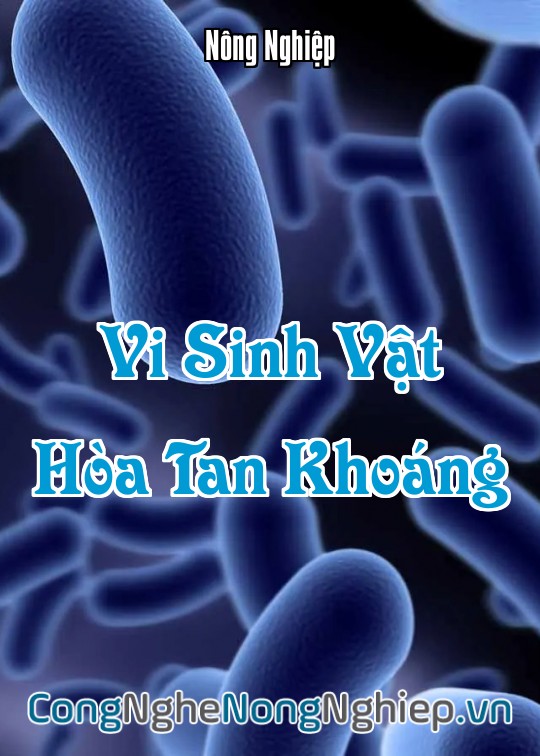 Ảnh bìa sách Vi Sinh Vật Hòa Tan Khoáng