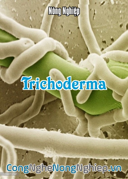 Ảnh bìa sách Trichoderma