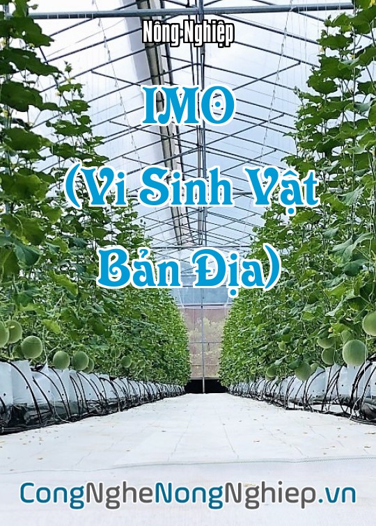 Ảnh bìa sách Imo (Vi Sinh Vật Bản Địa)