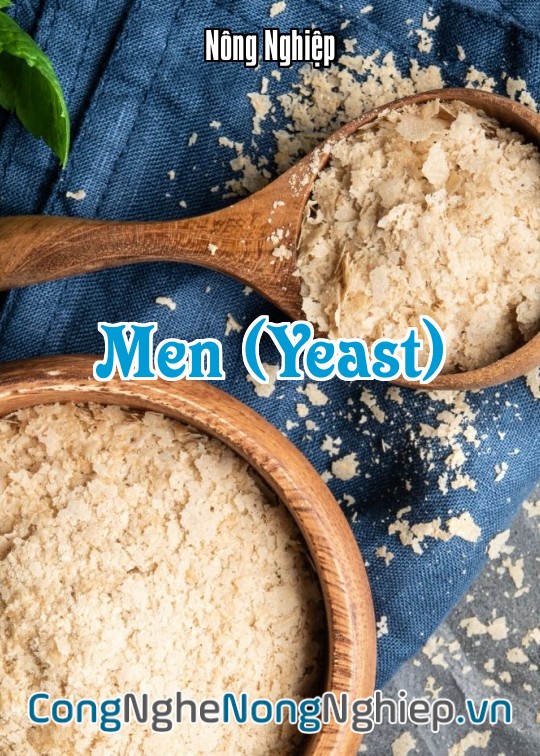 Ảnh bìa sách Men (Yeast)