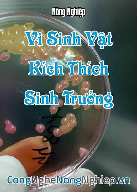 Ảnh bìa sách Vi Sinh Vật Kích Thích Sinh Trưởng