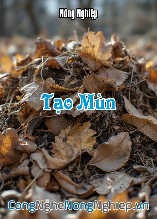 Ảnh bìa sách Tạo Mùn