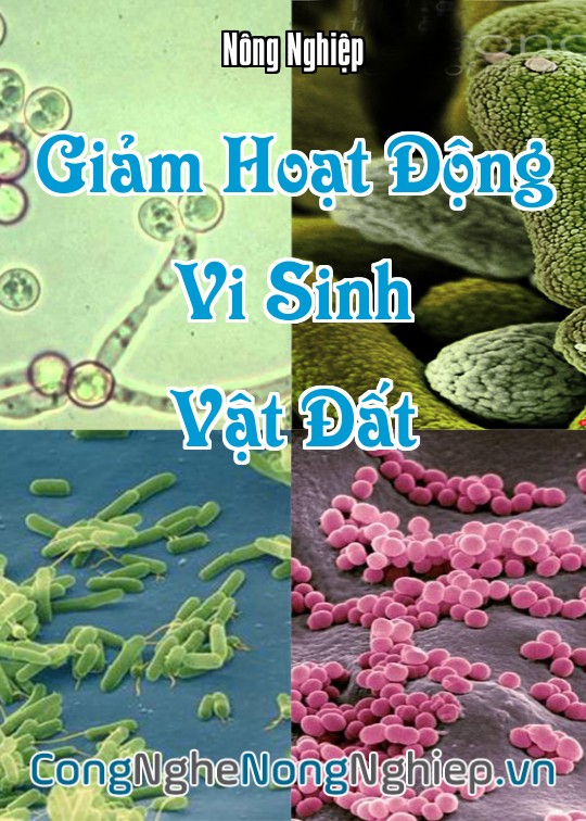 Ảnh bìa sách Giảm Hoạt Động Vi Sinh Vật Đất