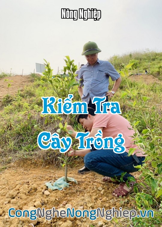 Ảnh bìa sách Kiểm Tra Cây Trồng
