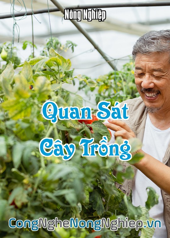 Ảnh bìa sách Quan Sát Cây Trồng