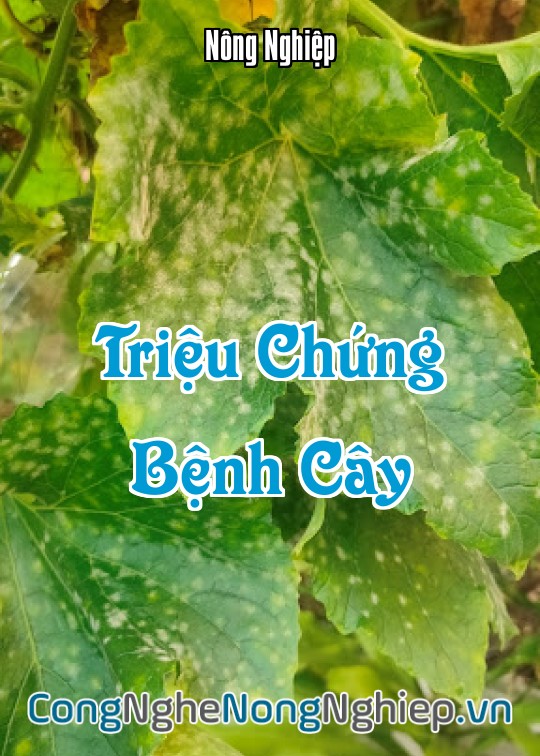 Ảnh bìa sách Triệu Chứng Bệnh Cây