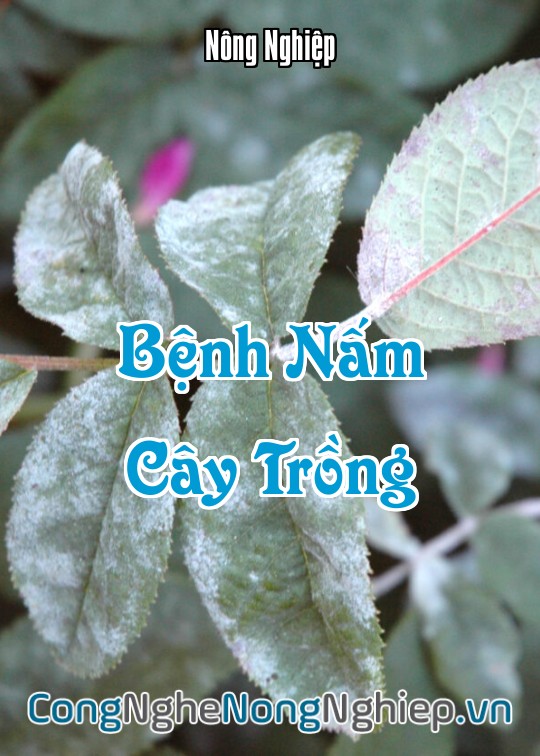 Ảnh bìa sách Bệnh Nấm Cây Trồng