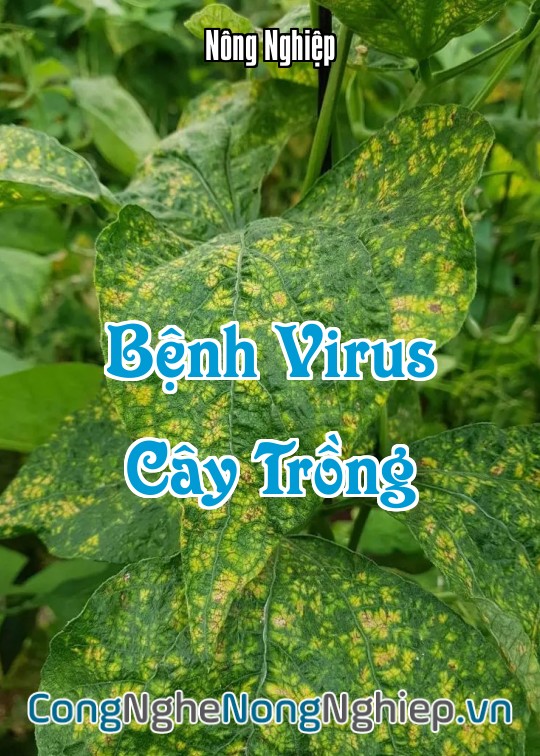 Ảnh bìa sách Bệnh Virus Cây Trồng