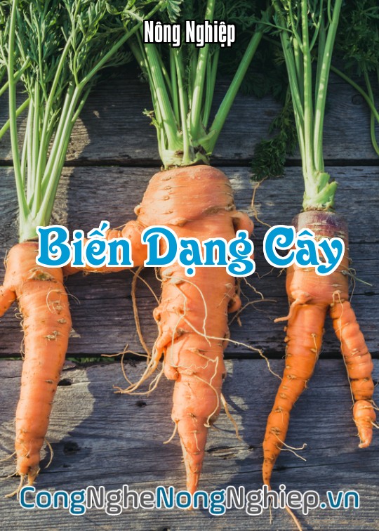 Ảnh bìa sách Biến Dạng Cây
