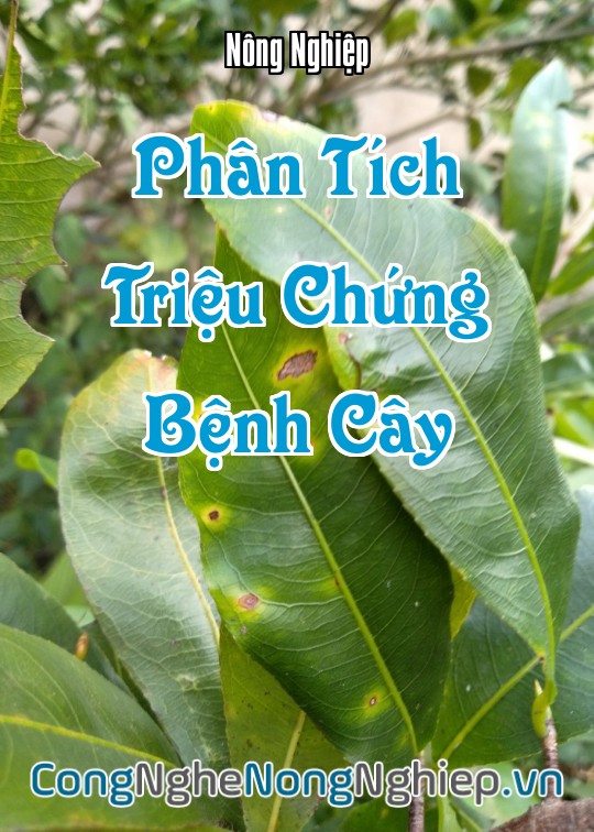 Ảnh bìa sách Phân Tích Triệu Chứng Bệnh Cây