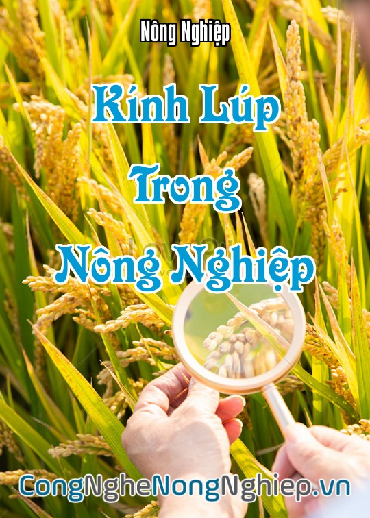 Ảnh bìa sách Kính Lúp Trong Nông Nghiệp