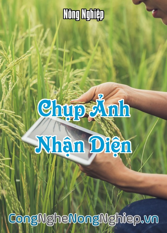 Ảnh bìa sách Chụp Ảnh Nhận Diện