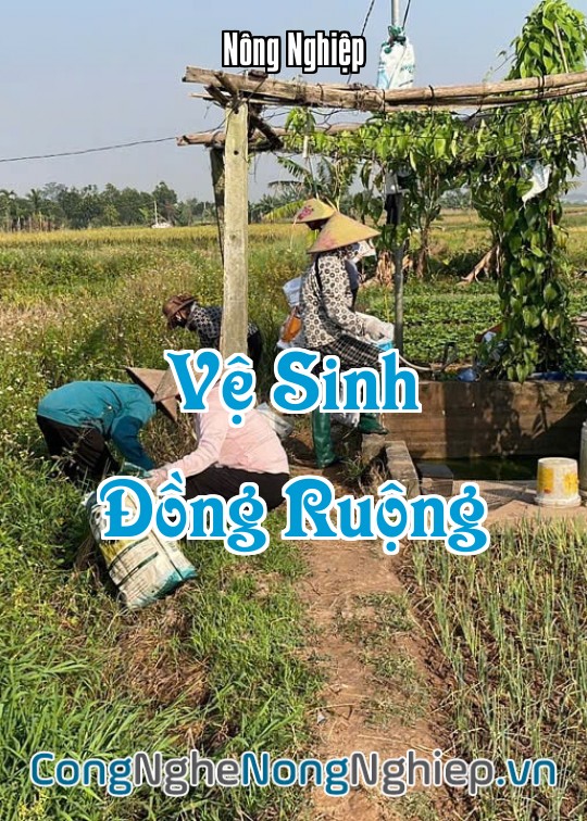 Ảnh bìa sách Vệ Sinh Đồng Ruộng
