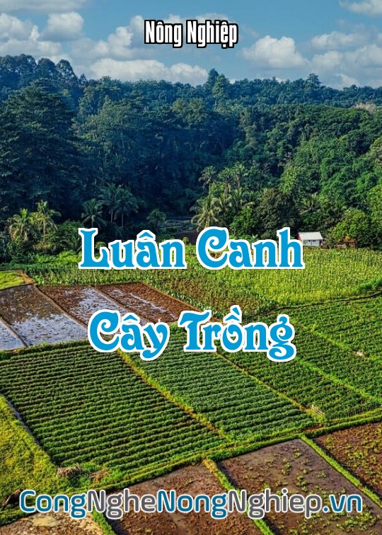 Ảnh bìa sách Luân Canh Cây Trồng