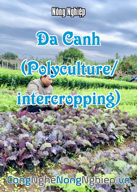 Ảnh bìa sách Đa Canh (Polyculture/intercropping)