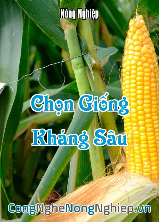 Ảnh bìa sách Chọn Giống Kháng Sâu