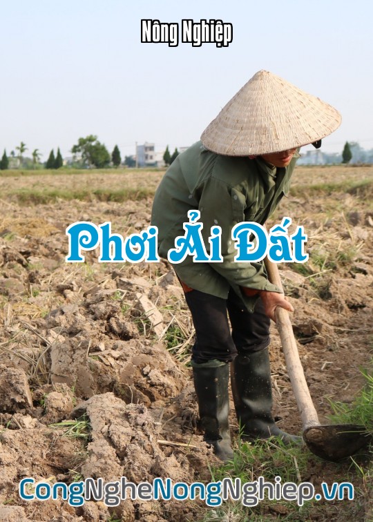 Ảnh bìa sách Phơi Ải Đất