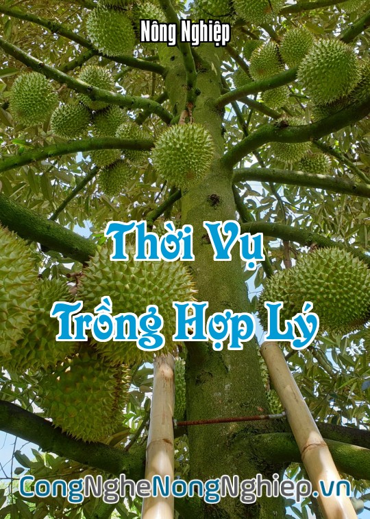Ảnh bìa sách Thời Vụ Trồng Hợp Lý