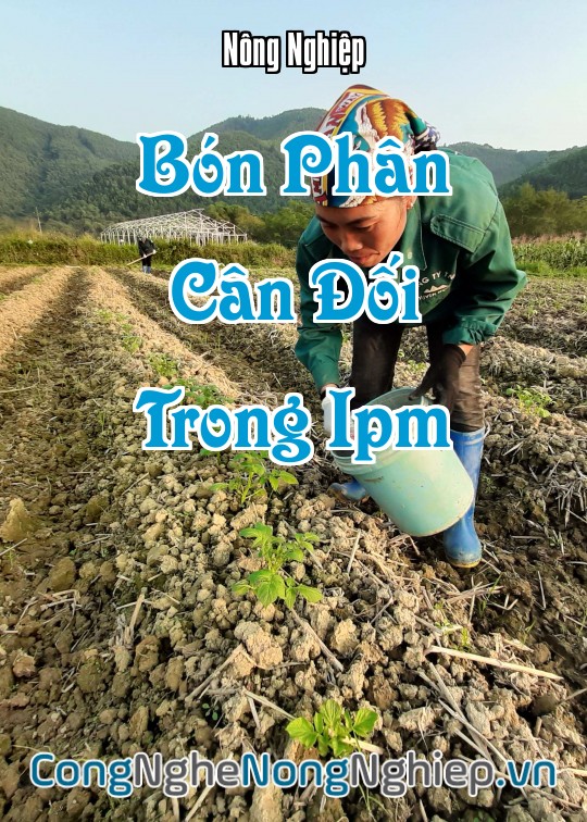 Ảnh bìa sách Bón Phân Cân Đối Trong Ipm