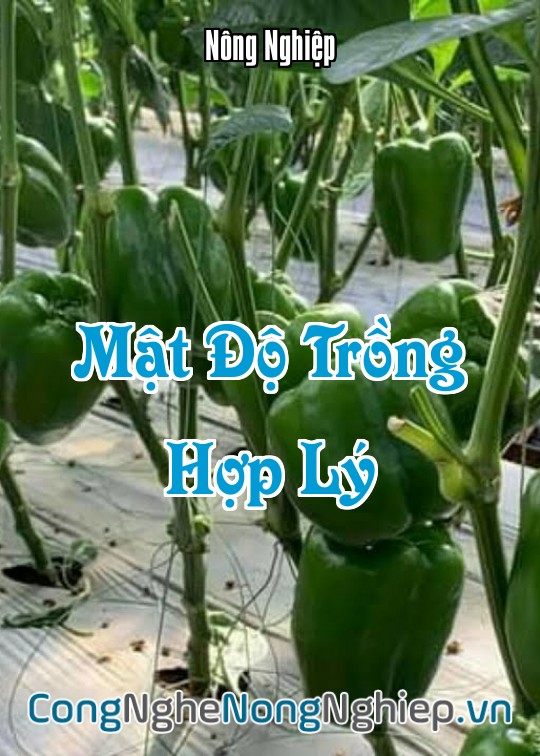 Ảnh bìa sách Mật Độ Trồng Hợp Lý