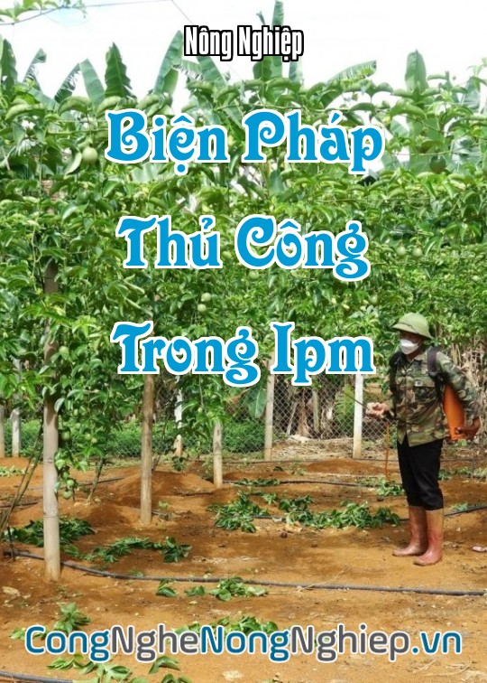 Ảnh bìa sách Biện Pháp Thủ Công Trong Ipm
