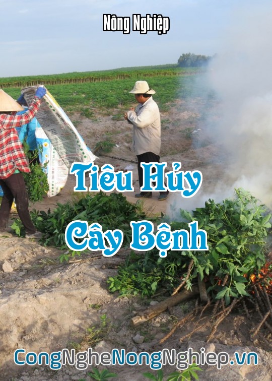 Ảnh bìa sách Tiêu Hủy Cây Bệnh
