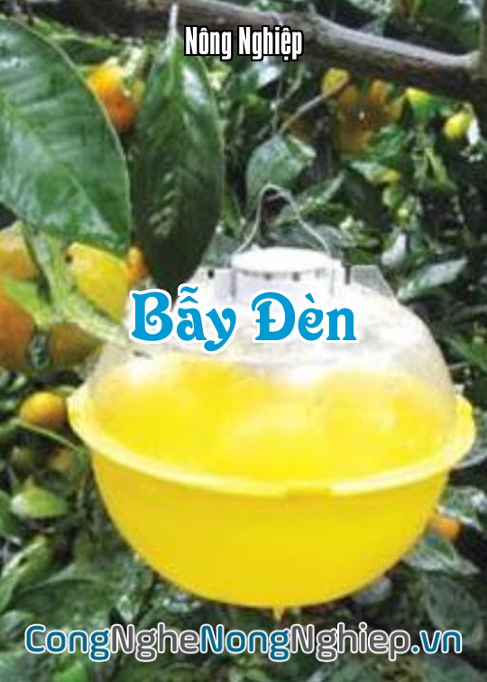 Ảnh bìa sách Bẫy Đèn