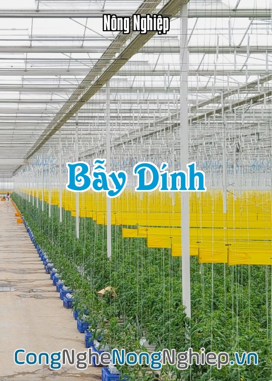 Ảnh bìa sách Bẫy Dính